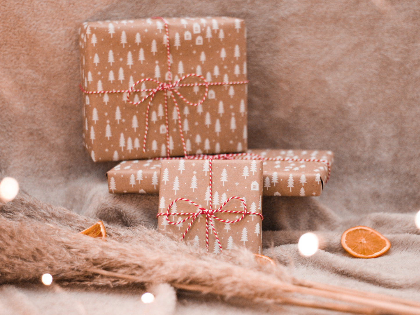 Cosy Self Care Hamper with Macrame Cactus Craft Kit