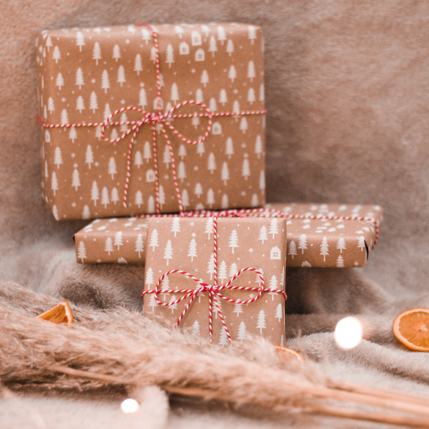 Make Your Own Macrame Cactus Craft Kit