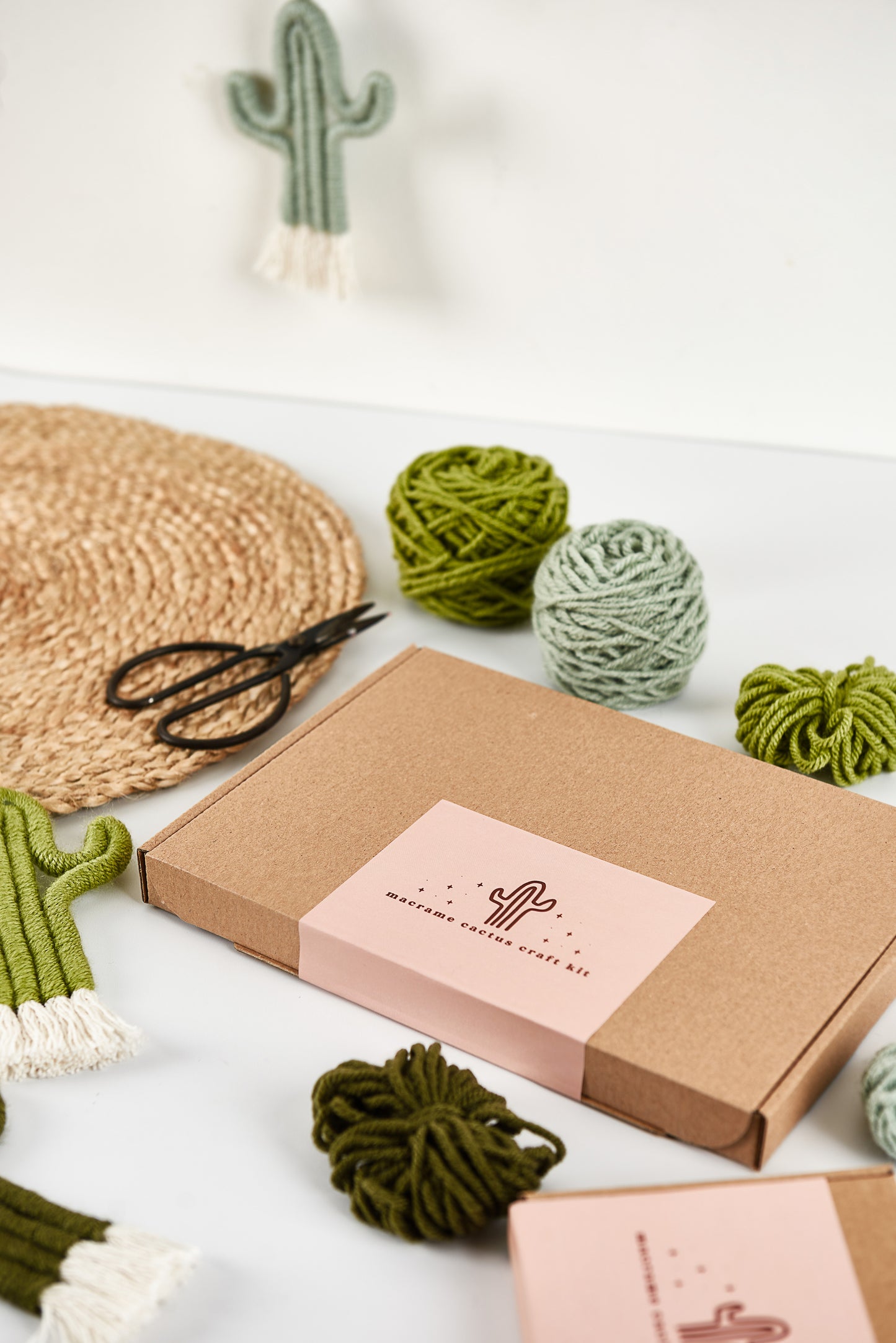 Make Your Own Macrame Cactus Craft Kit