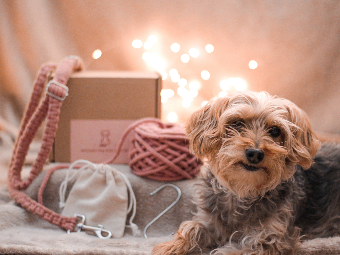 Make Your Own Macrame Dog Lead Craft Kit